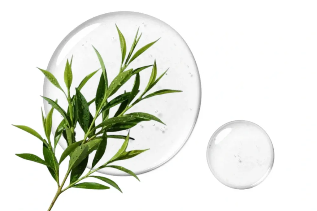 0fac83c27e35608c208358063e9034f2 (5).webp